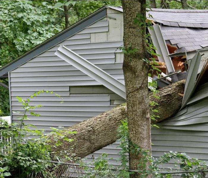 A tree fallen on a house, damaging the roof.
